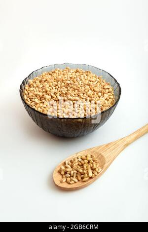 raw pearl barley in a wooden spoon and in a plate Stock Photo