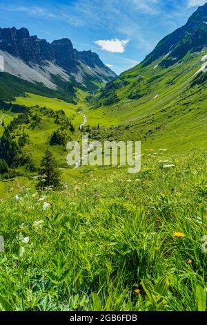 alpine Weiden an steilen Berghängen, mit Steinen und Blumen übersäht. Bergtal mit Wiesen und schroffen Felswänden. Klesenzaalpe, Grosswalsertal Stock Photo