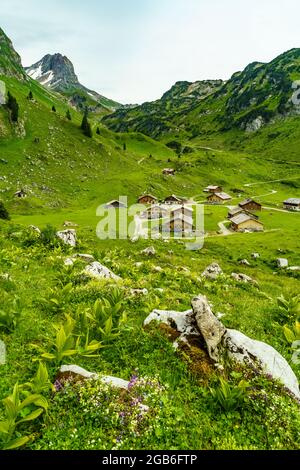 alpine Weiden an steilen Berghängen, mit Steinen und Blumen übersäht. Bergtal mit Wiesen und schroffen Felswänden. Klesenzaalpe, Grosswalsertal Stock Photo