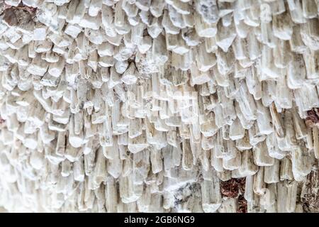 Crystal Grotto in Painshill Park, Surrey, UK Stock Photo