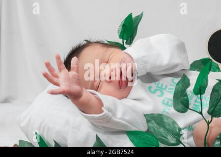 Beautiful newborn baby (4 days old), sleeping with his hand raised, laziness gesture, in bamboo fiber basket and surrounded by green leaves, Stock Photo