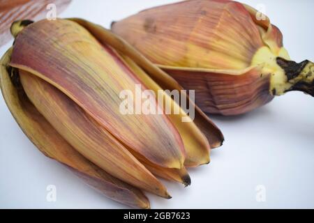 Raw Banana flower also known as Banana blossom or Banana heart on white background. Curry sabji South indian or Pakistani or Nepali vegetable exotic t Stock Photo