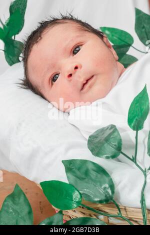 Beautiful newborn baby (4 days old), lying with his eyes open, disheveled, in bamboo fiber basket and surrounded by green leaves, Healthy medical conc Stock Photo