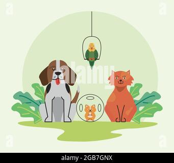 four pets characters Stock Vector