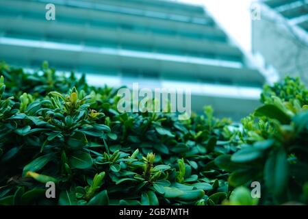 Green patterned background, Natural background and wallpaper Stock Photo