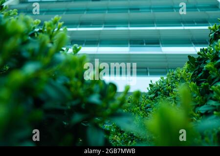 Green patterned background, Natural background and wallpaper Stock Photo