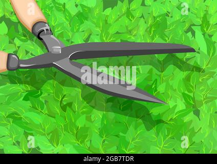 trimming a hedge. scissors and green bush Stock Vector