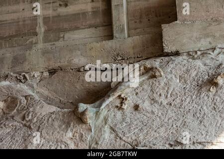 Spectacular exhibit of dinosaur bones excavated in situ by paleoltologists in the Quarry Exhibit Hall, Dinosaur National Monument on border of Utah an Stock Photo