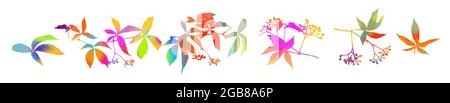 Set of multi-colored leaves. Vector illustration Stock Vector