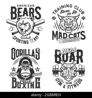 Sport gym and fitness club t shirt prints and quotes, vector icons. Amercian baseball sport team bear mascot, boxing and fight club gorilla, wild boar Stock Vector