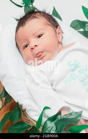 Beautiful newborn baby (4 days old), with wide eyes looking at the camera, in bamboo fiber basket and surrounded by green leaves, Healthy medical conc Stock Photo