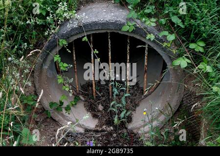 Agent's sluice, Stasi sluice, canal pipe with grating, inner-German border fortification, death strip, Cold War, Green Belt, border path Stock Photo