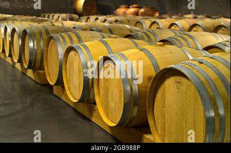 Saury oak barrels with Heida wine in the barrique cellar of the St. Jodern Winery, Visperterminen, Valais, Switzerland