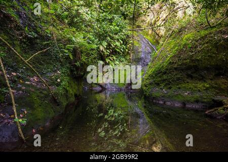 Wigmore's Waterfall (Papua Waterfall), Rarotonga, Rarotonga and the Cook islands Stock Photo