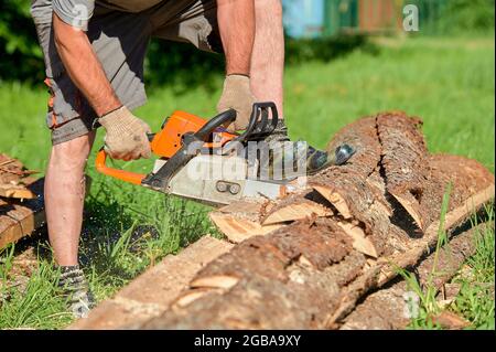 sawing timber with a chainsaw on a sunny day in summer Stock Photo