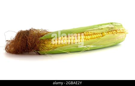 Fresh corn cob on white isolated background with clipping path. Stock Photo