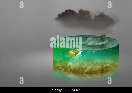 Underwater view with goldfish trapped in a plastic bottle on the lake. Plastic pollution. Environment concept Stock Photo