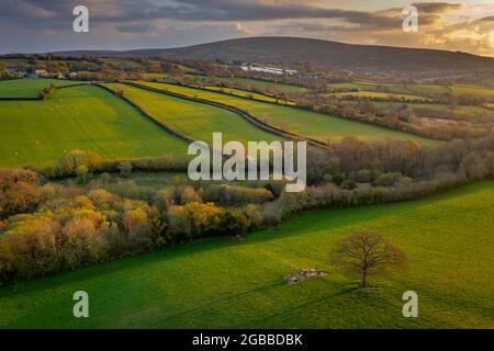 Rolling Dartmoor countryside in evening light in spring, Devon, England, United Kingdom, Europe Stock Photo