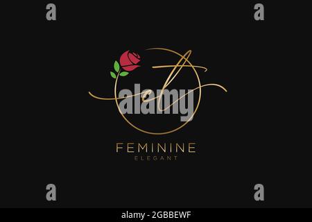 CT Feminine logo beauty monogram and elegant logo design, handwriting logo of initial signature, wedding, fashion, floral and botanical with creative Stock Vector