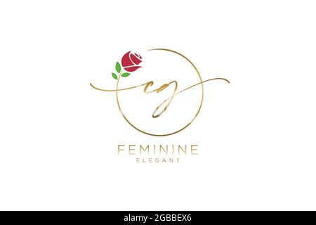 CG Feminine logo beauty monogram and elegant logo design, handwriting logo of initial signature, wedding, fashion, floral and botanical with creative Stock Vector