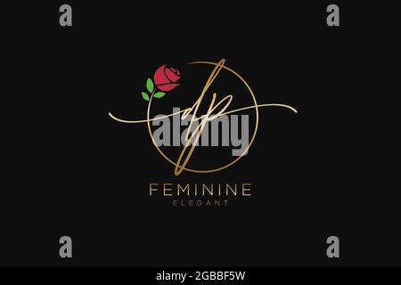 DP Feminine logo beauty monogram and elegant logo design, handwriting logo of initial signature, wedding, fashion, floral and botanical with creative Stock Vector