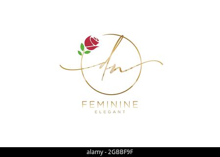 DN Feminine logo beauty monogram and elegant logo design, handwriting logo of initial signature, wedding, fashion, floral and botanical with creative Stock Vector
