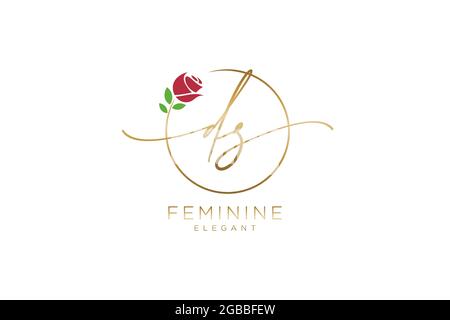 DS Feminine logo beauty monogram and elegant logo design, handwriting logo of initial signature, wedding, fashion, floral and botanical with creative Stock Vector