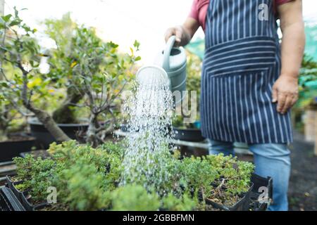 Midsection of caucasian male gardener watering plants at garden centre Stock Photo