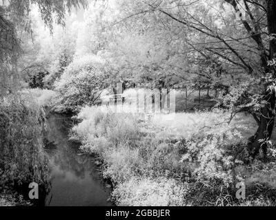 The River Kennet near Marlborough in Wiltshire, shot in infrared. Stock Photo