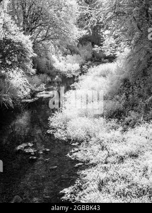 The River Kennet near Marlborough in Wiltshire, shot in infrared. Stock Photo