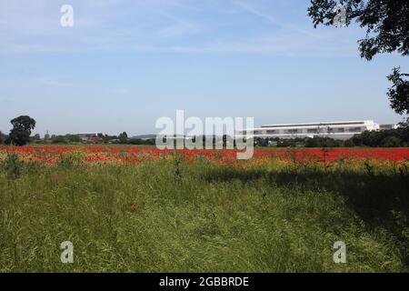 Theobalds Park, Waltham Cross, proposed new Sunset Film Studios site in Hertfordshire Stock Photo