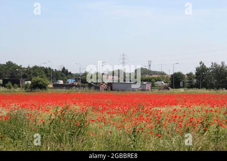 Theobalds Park & M25 Slip Road, Waltham Cross, proposed new Sunset Film Studio site in Hertfordshire Stock Photo