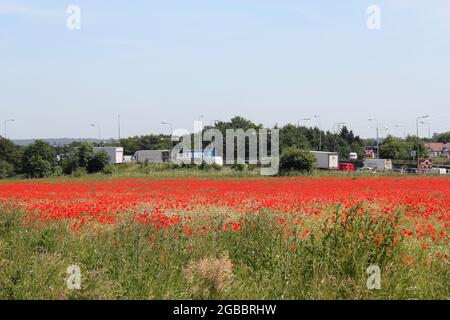 Theobalds Park & M25 Slip Road, Waltham Cross, proposed new Sunset Film Studio site in Hertfordshire Stock Photo