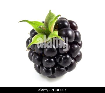 Blackberries isolated on white background. Black berry with green leaves Stock Photo