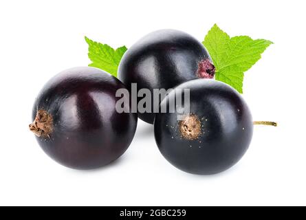 Juicy black currant isolated on a white background Stock Photo