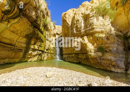 View of the hidden waterfall along the Arugot stream, in Ein Gedi Nature Reserve, near the Dead Sea, Southern Israel Stock Photo