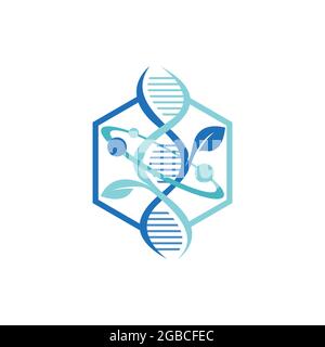 Hexagon DNA atom Molecular structure logo. Chemistry Dna Molecule Scientific Structure Atom Business Brand Vector logo design Stock Vector