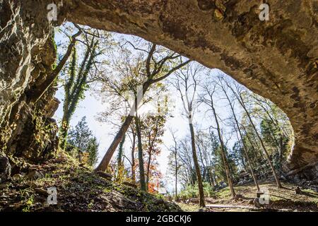 Alabama Grant Cathedral Caverns State Park cave entrance trees, Stock Photo