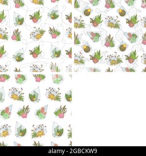 Seamless pattern with cactus house plants and succulents in glass pots. Window gardening on whitw background. Flat Art Vector Illustration Stock Vector