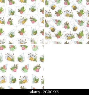 Seamless pattern with cactus house plants and succulents in glass pots. Window gardening on whitw background. Flat Art Vector Illustration Stock Vector