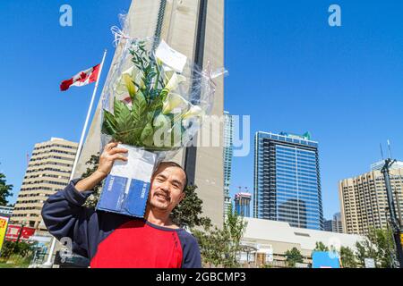 Toronto Canada,Bremner Boulevard CN Tower,observation skyline Canadian Asian man carrying flowers delivery delivering, Stock Photo