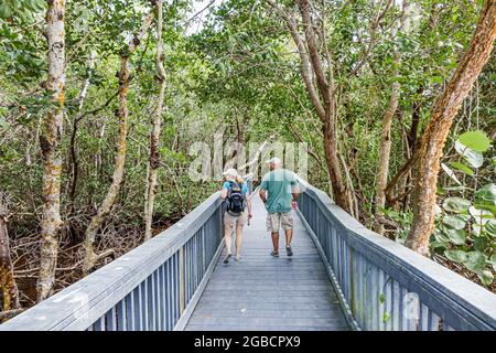 Florida Sanibel Island,JN Ding Darling National Wildlife Refuge nature boardwalk couple, Stock Photo