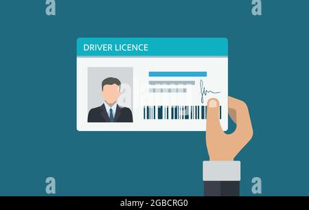 Driver license card with a photo and ID number. Vector Stock Vector
