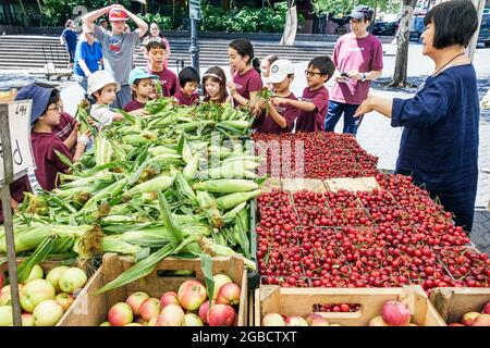 New York City,NY NYC Manhattan Midtown,Dag Hammarskjold Plaza Greenmarket farmers market,vendor selling stall,market marketplace stand,fruit fruits ve Stock Photo