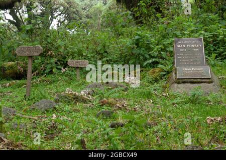 Rwanda - Volcanoes National park - august 2008 - Dian Fossey's grave besides her most beloved gorillas known from the movie gorillas in the mist Stock Photo