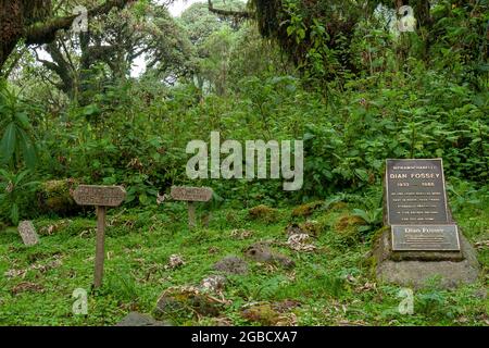 Rwanda - Volcanoes National park - august 2008 - Dian Fossey's grave besides her most beloved gorillas known from the movie gorillas in the mist Stock Photo