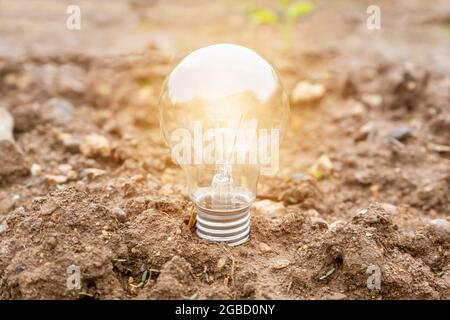 Saving energy and environment concept.Light bulb glowing in soil Stock Photo