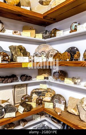 Display of fossils at Emjems crystal and gem shop, St Ives, Cornwall, UK Stock Photo