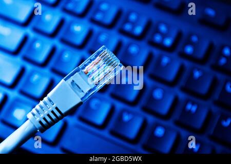 LAN network connection ethernet cable. Internet cord RJ45 cable Stock Photo