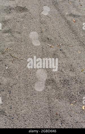 Multiple footprints on wet sand after rain. Footprints in the wet sand. Sand background. Stock Photo